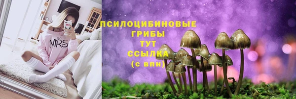 марки lsd Беломорск